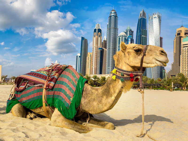 Görkemli Dubai & Lüksün Başkenti 3 Gece - AJET ile (2025 Sonbahar - Kış Dönemi) AT1073
